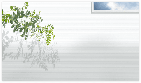 Low-Maintenance KMEW Facade Panels